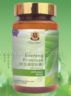 ¼500mg*100òƷ